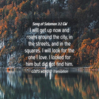 Picture 04 - Song of Solomon 3:2 GW - I will get up now and roam around the city, in - Bible Verse Picture