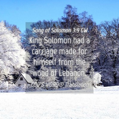 Picture 04 - Song of Solomon 3:9 GW - King Solomon had a carriage made for himself from - Bible Verse Picture