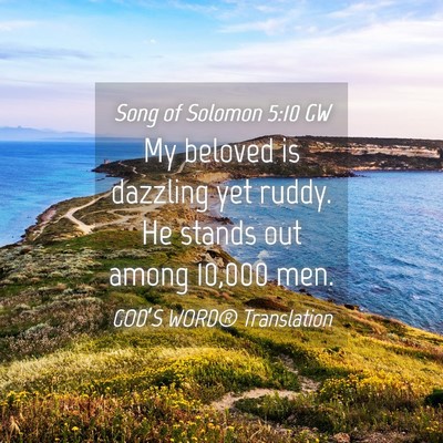 Picture 04 - Song of Solomon 5:10 GW - My beloved is dazzling yet ruddy. He stands out - Bible Verse Picture
