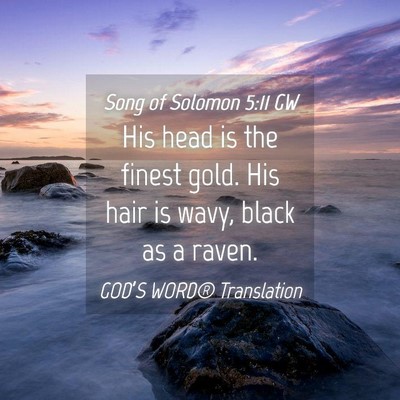 Picture 04 - Song of Solomon 5:11 GW - His head is the finest gold. His hair is wavy, - Bible Verse Picture