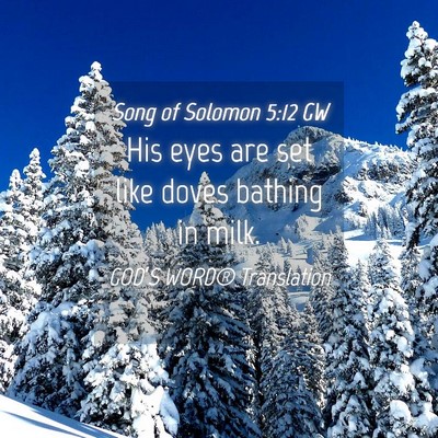 Picture 04 - Song of Solomon 5:12 GW - His eyes are set like doves bathing in - Bible Verse Picture