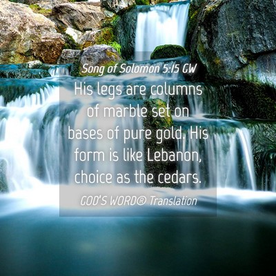 Picture 04 - Song of Solomon 5:15 GW - His legs are columns of marble set on bases of - Bible Verse Picture