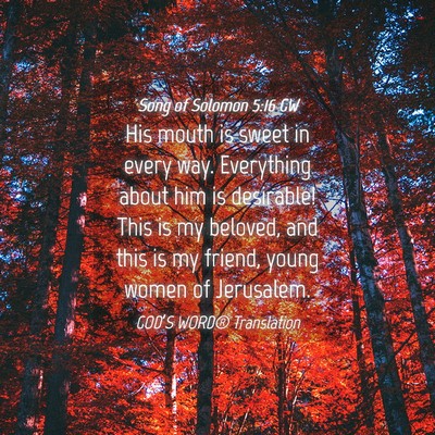 Picture 04 - Song of Solomon 5:16 GW - His mouth is sweet in every way. Everything about - Bible Verse Picture