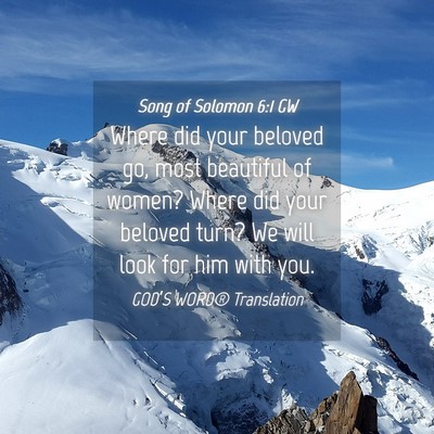 Picture 04 - Song of Solomon 6:1 GW - Where did your beloved go, most beautiful of - Bible Verse Picture