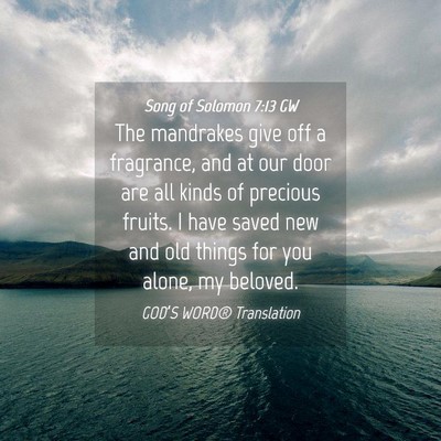 Picture 04 - Song of Solomon 7:13 GW - The mandrakes give off a fragrance, and at our - Bible Verse Picture