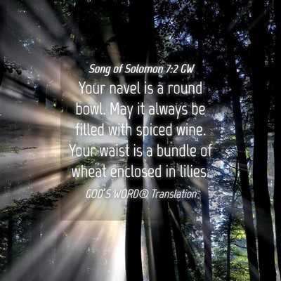 Picture 04 - Song of Solomon 7:2 GW - Your navel is a round bowl. May it always be - Bible Verse Picture