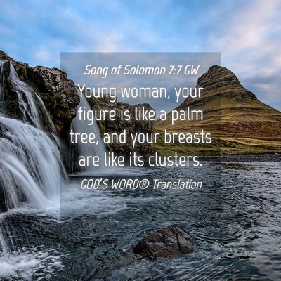 Picture 04 - Song of Solomon 7:7 GW - Young woman, your figure is like a palm tree, and - Bible Verse Picture