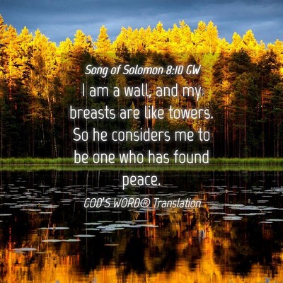 Picture 04 - Song of Solomon 8:10 GW - I am a wall, and my breasts are like towers. So - Bible Verse Picture