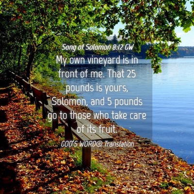 Picture 04 - Song of Solomon 8:12 GW - My own vineyard is in front of me. That 25 pounds - Bible Verse Picture