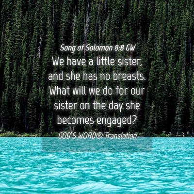 Picture 04 - Song of Solomon 8:8 GW - We have a little sister, and she has no breasts. - Bible Verse Picture
