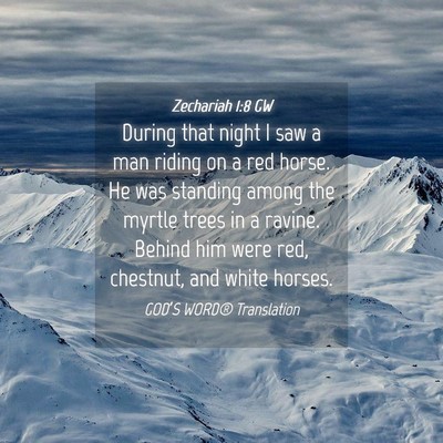 Picture 04 - Zechariah 1:8 GW - During that night I saw a man riding on a red - Bible Verse Picture