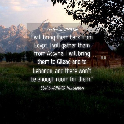 Picture 04 - Zechariah 10:10 GW - I will bring them back from Egypt. I will gather - Bible Verse Picture