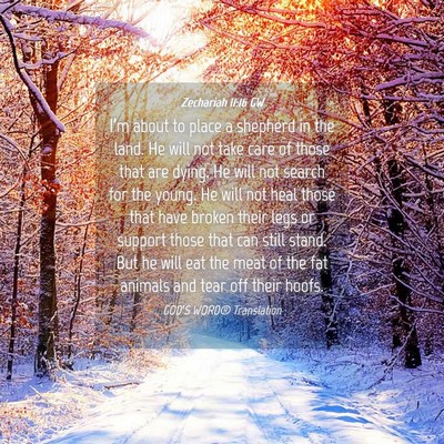Picture 04 - Zechariah 11:16 GW - I’m about to place a shepherd in the land. He - Bible Verse Picture