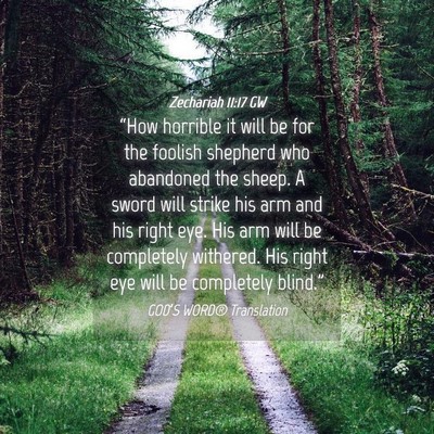 Picture 04 - Zechariah 11:17 GW - “How horrible it will be for the foolish - Bible Verse Picture