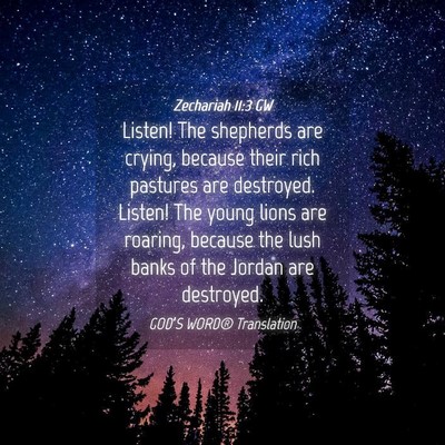Picture 04 - Zechariah 11:3 GW - Listen! The shepherds are crying, because their - Bible Verse Picture