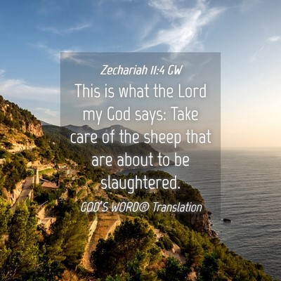 Picture 04 - Zechariah 11:4 GW - This is what the Lord my God says: Take care of - Bible Verse Picture