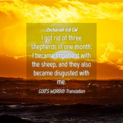 Picture 04 - Zechariah 11:8 GW - I got rid of three shepherds in one month. I - Bible Verse Picture