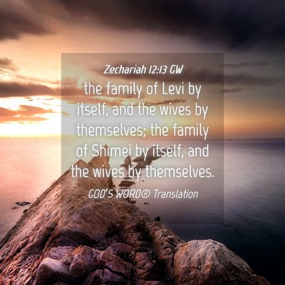 Picture 04 - Zechariah 12:13 GW - the family of Levi by itself, and the wives by - Bible Verse Picture