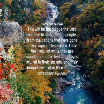 Picture 04 - Zechariah 14:12 GW - This will be the plague the Lord will use to - Bible Verse Picture