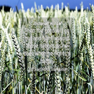 Picture 04 - Zechariah 14:3 GW - Then the Lord will go out and fight against those - Bible Verse Picture