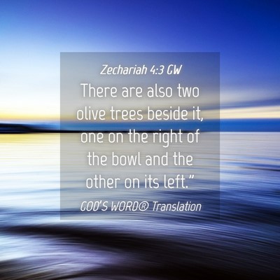 Picture 04 - Zechariah 4:3 GW - There are also two olive trees beside it, one on - Bible Verse Picture