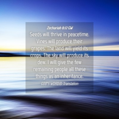 Picture 04 - Zechariah 8:12 GW - Seeds will thrive in peacetime. Vines will - Bible Verse Picture