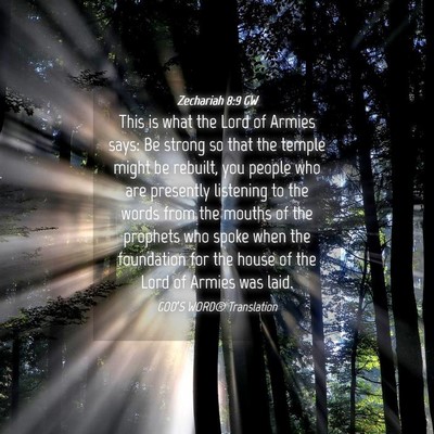 Picture 04 - Zechariah 8:9 GW - This is what the Lord of Armies says: Be strong - Bible Verse Picture