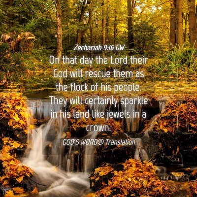 Picture 04 - Zechariah 9:16 GW - On that day the Lord their God will rescue them - Bible Verse Picture