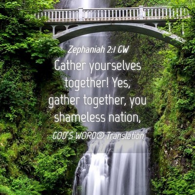 Picture 04 - Zephaniah 2:1 GW - Gather yourselves together! Yes, gather together, - Bible Verse Picture
