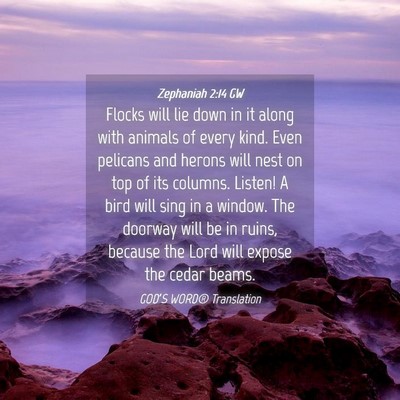 Picture 04 - Zephaniah 2:14 GW - Flocks will lie down in it along with animals of - Bible Verse Picture