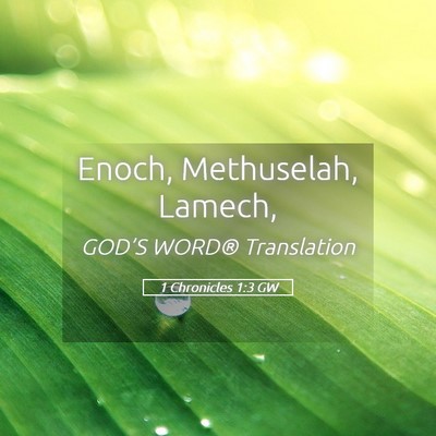 Picture 05 - 1 Chronicles 1:3 GW - Enoch, Methuselah, - Bible Verse Picture