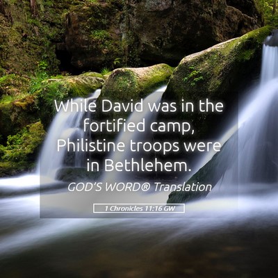 Picture 05 - 1 Chronicles 11:16 GW - While David was in the fortified camp, Philistine - Bible Verse Picture