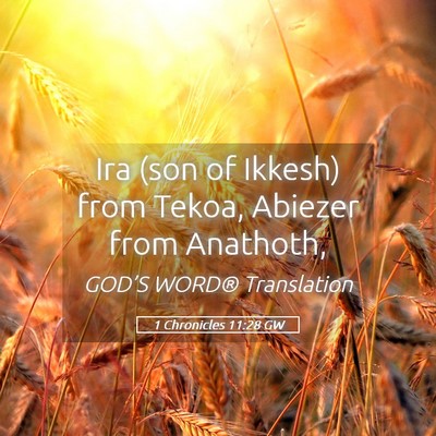 Picture 05 - 1 Chronicles 11:28 GW - Ira (son of Ikkesh) from Tekoa, Abiezer from - Bible Verse Picture
