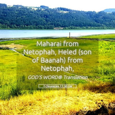 Picture 05 - 1 Chronicles 11:30 GW - Maharai from Netophah, Heled (son of Baanah) from - Bible Verse Picture