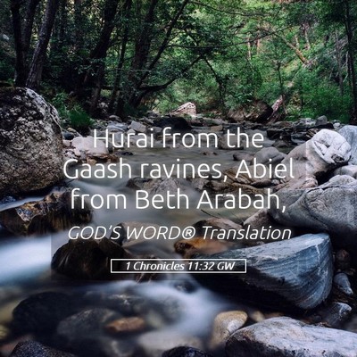 Picture 05 - 1 Chronicles 11:32 GW - Hurai from the Gaash ravines, Abiel from Beth - Bible Verse Picture