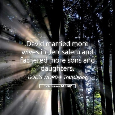 Picture 05 - 1 Chronicles 14:3 GW - David married more wives in Jerusalem and - Bible Verse Picture