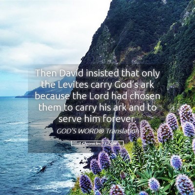 Picture 05 - 1 Chronicles 15:2 GW - Then David insisted that only the Levites carry - Bible Verse Picture