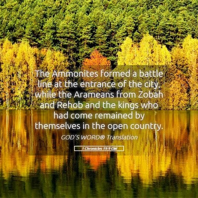 Picture 05 - 1 Chronicles 19:9 GW - The Ammonites formed a battle line at the - Bible Verse Picture