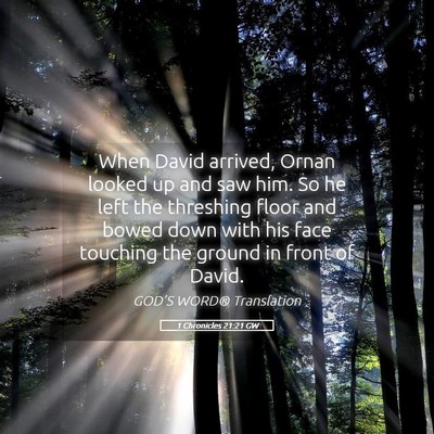 Picture 05 - 1 Chronicles 21:21 GW - When David arrived, Ornan looked up and saw him. - Bible Verse Picture