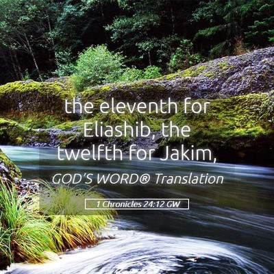 Picture 05 - 1 Chronicles 24:12 GW - the eleventh for Eliashib, the twelfth for - Bible Verse Picture