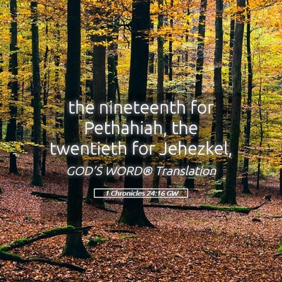 Picture 05 - 1 Chronicles 24:16 GW - the nineteenth for Pethahiah, the twentieth for - Bible Verse Picture