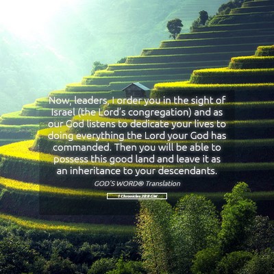 Picture 05 - 1 Chronicles 28:8 GW - Now, leaders, I order you in the sight of Israel - Bible Verse Picture