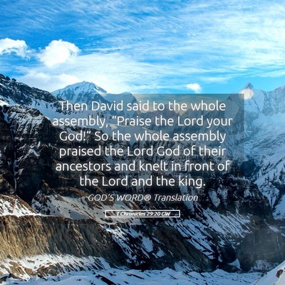 Picture 05 - 1 Chronicles 29:20 GW - Then David said to the whole assembly, “Praise - Bible Verse Picture