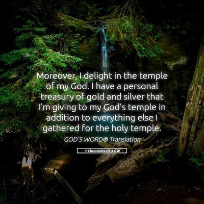 Picture 05 - 1 Chronicles 29:3 GW - Moreover, I delight in the temple of my God. I - Bible Verse Picture