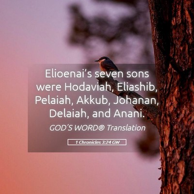 Picture 05 - 1 Chronicles 3:24 GW - Elioenai’s seven sons were Hodaviah, Eliashib, - Bible Verse Picture