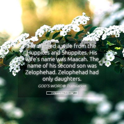 Picture 05 - 1 Chronicles 7:15 GW - He married a wife from the Huppites and - Bible Verse Picture