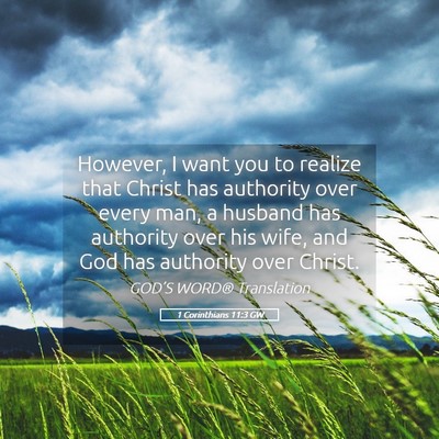 Picture 05 - 1 Corinthians 11:3 GW - However, I want you to realize that Christ has - Bible Verse Picture