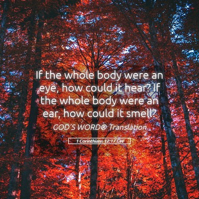 Picture 05 - 1 Corinthians 12:17 GW - If the whole body were an eye, how could it hear? - Bible Verse Picture