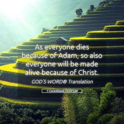 Picture 05 - 1 Corinthians 15:22 GW - As everyone dies because of Adam, so also - Bible Verse Picture