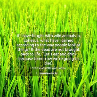 Picture 05 - 1 Corinthians 15:32 GW - If I have fought with wild animals in Ephesus, - Bible Verse Picture